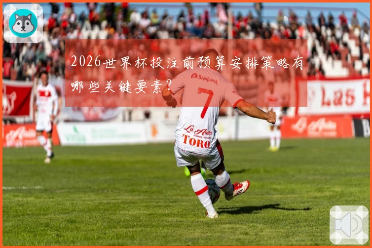 2026世界杯投注前预算安排策略有哪些关键要素？